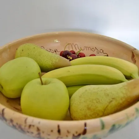 Apartamento Little Olive Grove At Casa Mimosa Monteleone dʼOrvieto