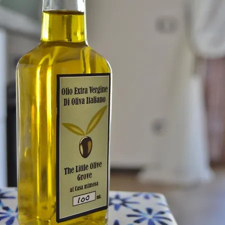 Apartamento Little Olive Grove At Casa Mimosa Monteleone dʼOrvieto
