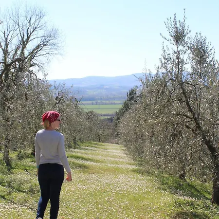 Little Olive Grove At Casa Mimosa Apartamento *